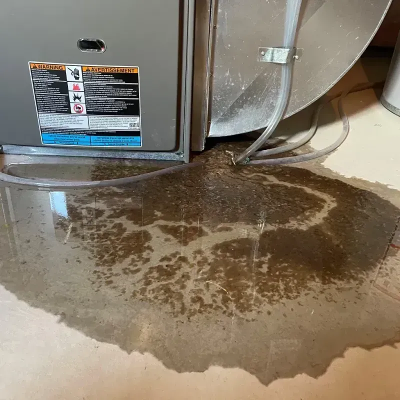 Appliance Leak Cleanup in Granite Quarry, NC